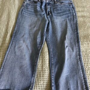 Judy Blue Capri Jeans